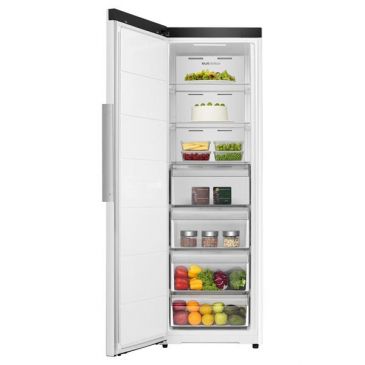 Congélateur armoire No-Frost FT3K310SEWE