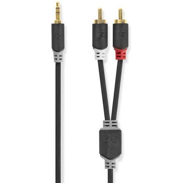 Câble audio - CABW22200AT100