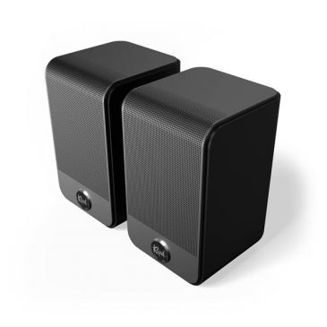 Enceintes Surround FLEXUSSURR100